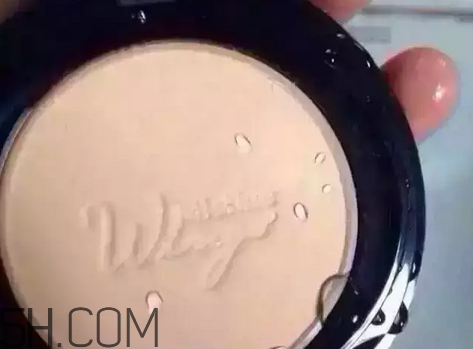 mistine羽翼粉餅和陶瓷粉餅區(qū)別 mistine羽翼粉餅的使用方法 mistine羽翼粉餅和陶瓷粉餅區(qū)別 mistine羽翼粉餅的使用方法