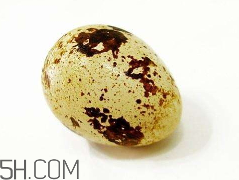 鵪鶉蛋是涼性還是熱性 鵪鶉蛋是酸性還是堿性 鵪鶉蛋是涼性還是熱性 鵪鶉蛋是酸性還是堿性