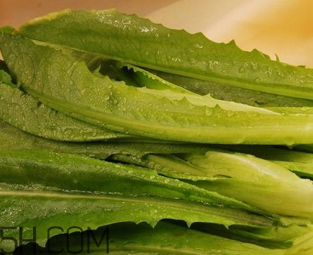 油麥菜的營養(yǎng)價值_油麥菜的功效與作用及食用方法 油麥菜的營養(yǎng)價值_油麥菜的功效與作用及食用方法