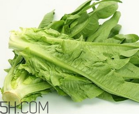 油麥菜的營養(yǎng)價值_油麥菜的功效與作用及食用方法 油麥菜的營養(yǎng)價值_油麥菜的功效與作用及食用方法