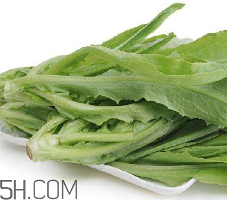 油麥菜的營養(yǎng)價值_油麥菜的功效與作用及食用方法 油麥菜的營養(yǎng)價值_油麥菜的功效與作用及食用方法