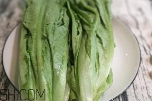 油麥菜的營養(yǎng)價值_油麥菜的功效與作用及食用方法 油麥菜的營養(yǎng)價值_油麥菜的功效與作用及食用方法