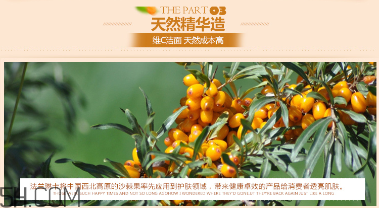 法蘭琳卡透亮保濕潔面乳 法蘭琳卡透亮保濕潔面乳