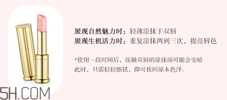 whoo后拱辰享美平紋潤唇膏SPF10 whoo后拱辰享美平紋潤唇膏SPF10