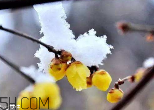 2018年一九是哪天 2018年一九是幾月幾號 2018年一九是哪天 2018年一九是幾月幾號