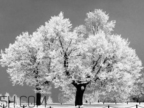 2018年一九是哪天 2018年一九是幾月幾號 2018年一九是哪天 2018年一九是幾月幾號