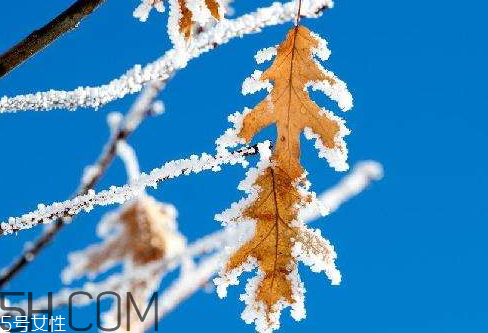 2018年二九是哪一天 2018年二九是幾月幾號 2018年二九是哪一天 2018年二九是幾月幾號