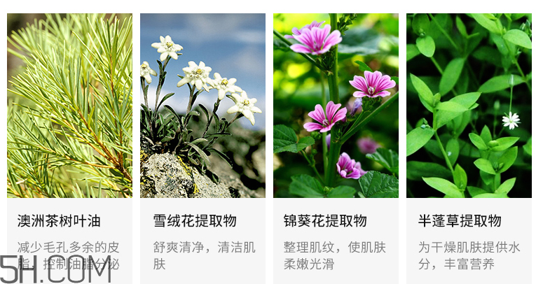 得鮮舒緩茶園茶樹卸妝水 得鮮舒緩茶園茶樹卸妝水