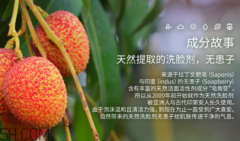 得鮮自然清爽卸妝啫喱 得鮮自然清爽卸妝啫喱