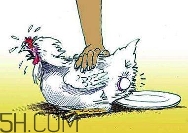 哪些食物補腦？補腦應該注意些什么？