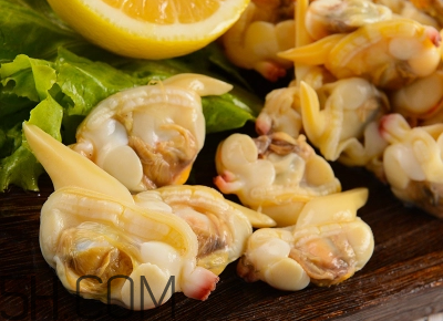 花甲可以冷凍嗎？養(yǎng)花甲鹽和水的比例是多少？