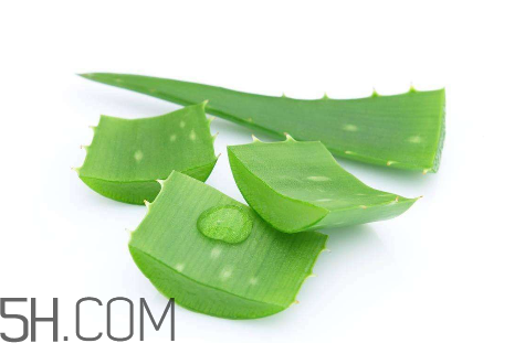 雅麗潔蘆薈膠怎么用？雅麗潔蘆薈膠使用方法