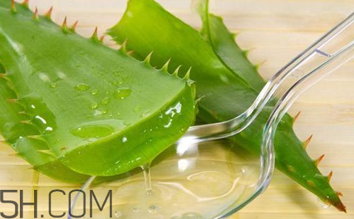 雅麗潔蘆薈膠和完美蘆薈膠哪個好？