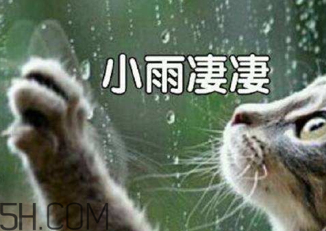 2018年降雨量比2017年多還是少 2018年全年降雨量預(yù)測 2018年降雨量比2017年多還是少 2018年全年降雨量預(yù)測