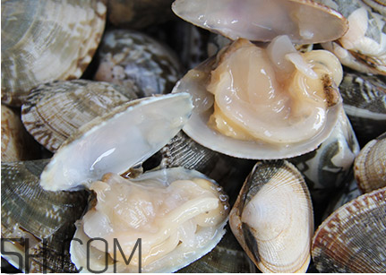 花甲可以冷凍嗎？養(yǎng)花甲鹽和水的比例是多少？