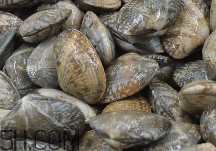 花甲可以冷凍嗎？養(yǎng)花甲鹽和水的比例是多少？