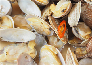 花甲可以冷凍嗎？養(yǎng)花甲鹽和水的比例是多少？