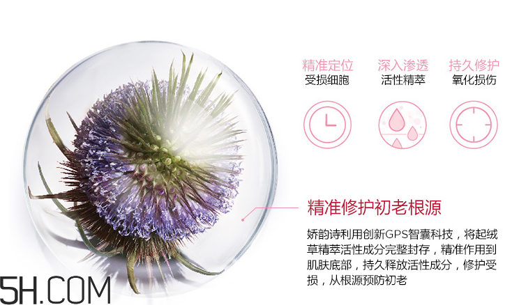 嬌韻詩青春賦活晚間霜 嬌韻詩青春賦活晚間霜