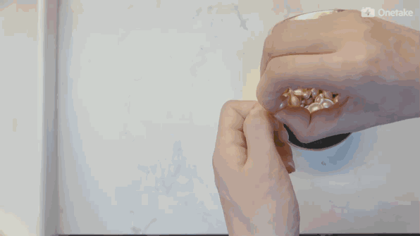 雅頓金膠怎么打開？雅頓金膠膠囊怎么扭開？