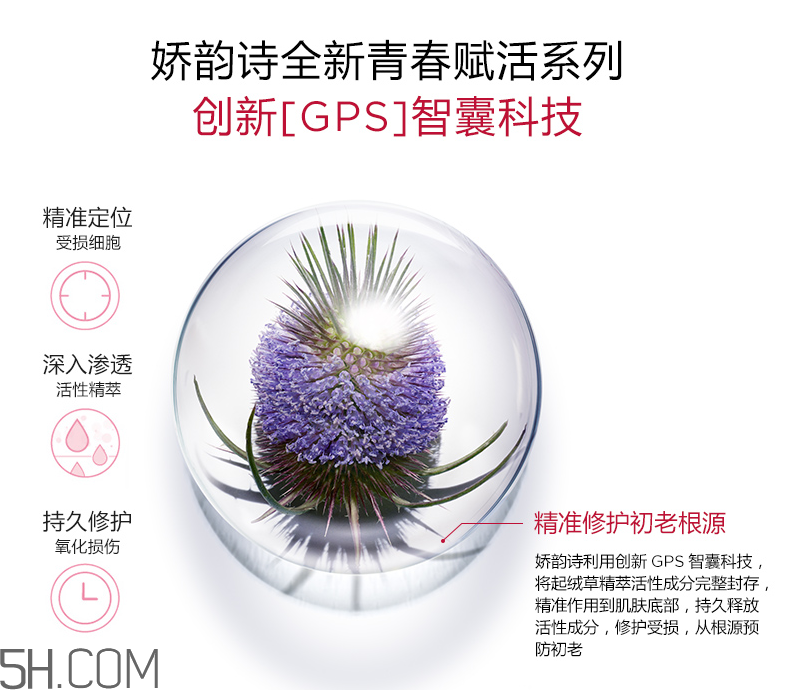 嬌韻詩青春賦活日間霜 嬌韻詩青春賦活日間霜