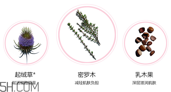 嬌韻詩青春賦活日間霜 嬌韻詩青春賦活日間霜