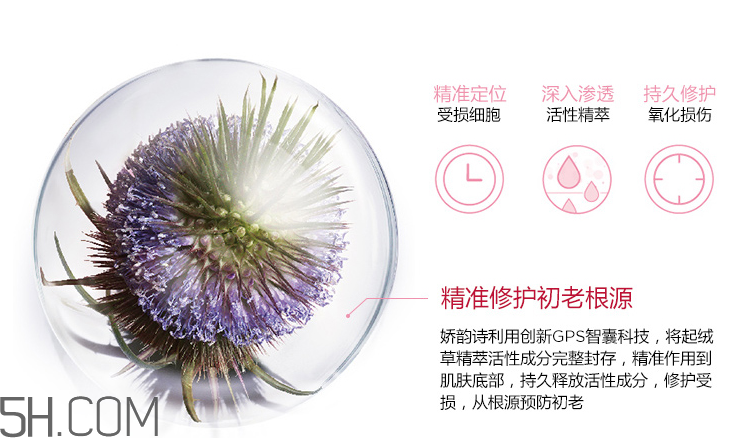 嬌韻詩(shī)青春賦活日間乳 嬌韻詩(shī)青春賦活日間乳