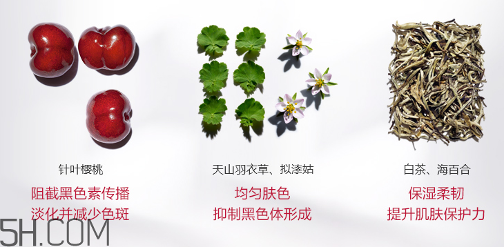 嬌韻詩清透潤白淡斑煥亮乳液 嬌韻詩清透潤白淡斑煥亮乳液