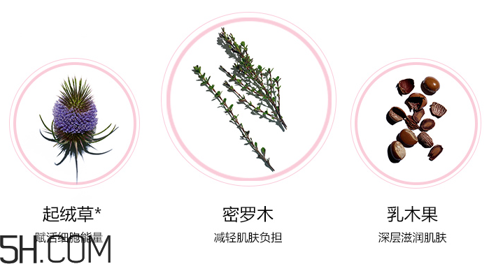 嬌韻詩(shī)青春賦活日間乳 嬌韻詩(shī)青春賦活日間乳