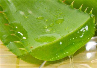 自然樂園蘆薈膠怎么用？自然樂園蘆薈膠使用方法