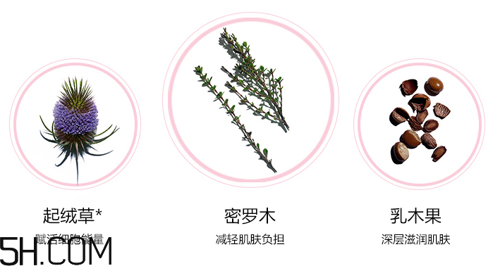 嬌韻詩青春賦活晚間霜 嬌韻詩青春賦活晚間霜