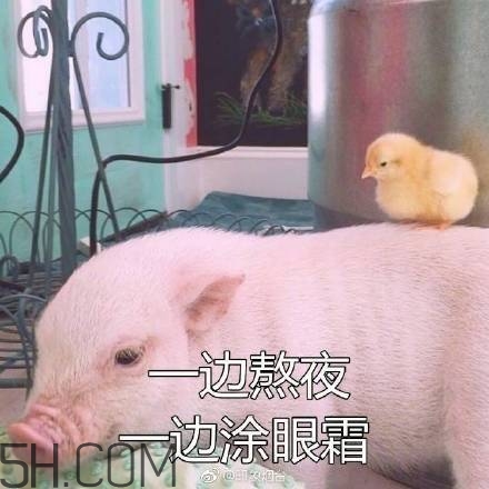 佛系青年表情包 佛系三連表情包 佛系青年表情包 佛系三連表情包