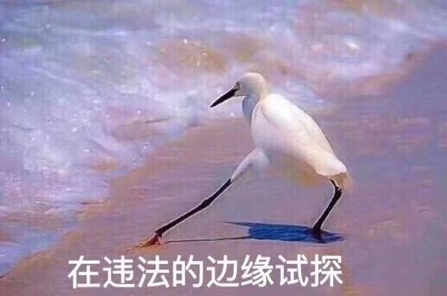 在違法的邊緣試探原圖 在違法的邊緣試探表情包 在違法的邊緣試探原圖 在違法的邊緣試探表情包