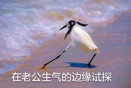 在違法的邊緣試探原圖 在違法的邊緣試探表情包 在違法的邊緣試探原圖 在違法的邊緣試探表情包