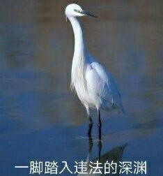 在違法的邊緣試探原圖 在違法的邊緣試探表情包 在違法的邊緣試探原圖 在違法的邊緣試探表情包