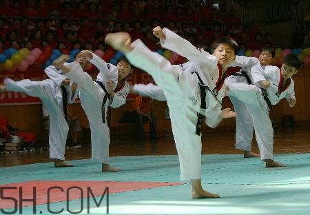 武術(shù)和跆拳道哪個(gè)對(duì)孩子好？武術(shù)和跆拳道的區(qū)別在哪里？