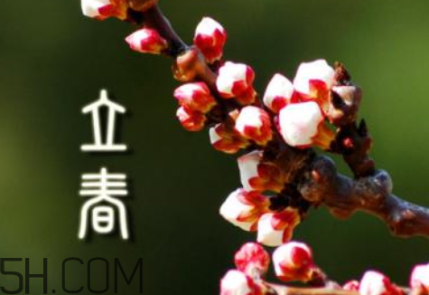 2018立春是幾九 2018年立春是幾九 2018立春是幾九 2018年立春是幾九