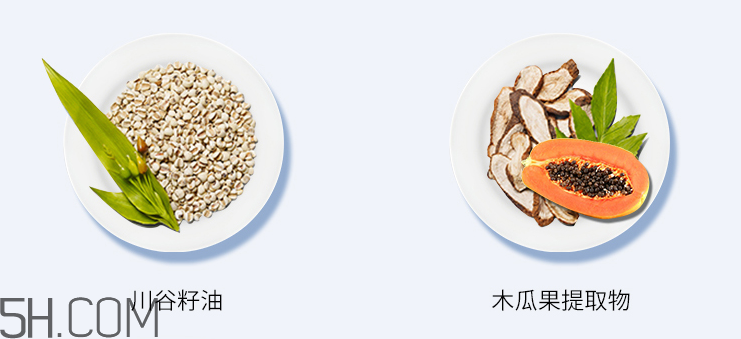 高絲凈透潔膚油 高絲凈透潔膚油