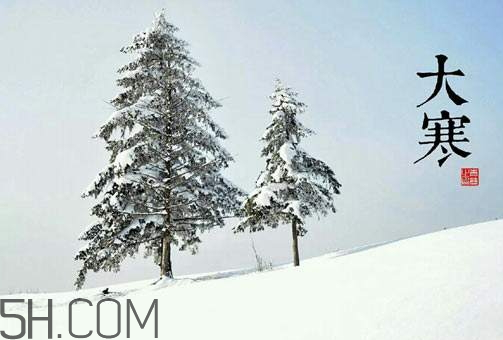 2018年小寒是幾九 2018年大寒是幾九 2018年小寒是幾九 2018年大寒是幾九