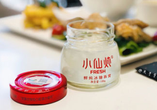 小仙燉鮮燉燕窩怎么樣？小仙燉燕窩怎么吃