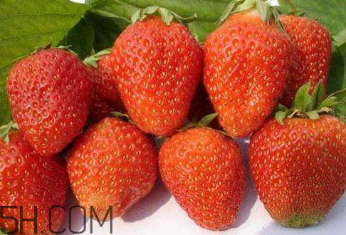 甜寶和章姬草莓的區(qū)別 甜寶和紅顏哪個(gè)好吃 甜寶和章姬草莓的區(qū)別 甜寶和紅顏哪個(gè)好吃