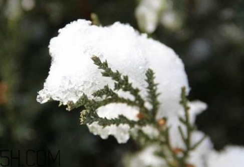 2018年倒春寒是什么時候 2018年倒春寒會持續(xù)多久 2018年倒春寒是什么時候 2018年倒春寒會持續(xù)多久