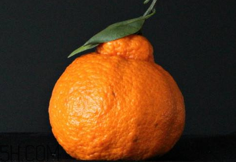 丑桔上火嗎 丑桔是熱性還是涼性 丑桔上火嗎 丑桔是熱性還是涼性