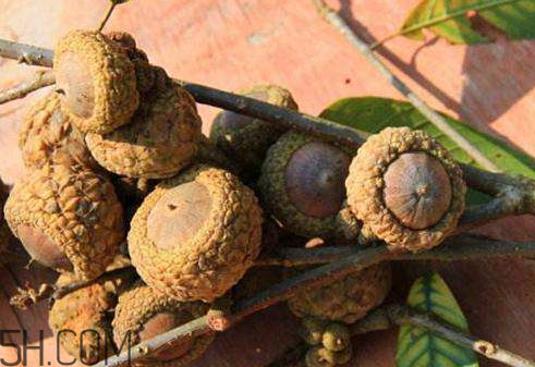 風(fēng)流果可以泡酒嗎 風(fēng)流果怎么泡酒 風(fēng)流果可以泡酒嗎 風(fēng)流果怎么泡酒