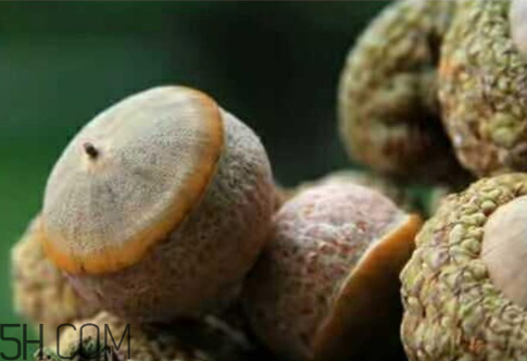 風(fēng)流果什么季節(jié)成熟 風(fēng)流果幾月成熟 風(fēng)流果什么季節(jié)成熟 風(fēng)流果幾月成熟