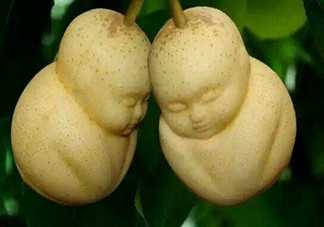 女人吃人參果有哪些好處？人參果的營養(yǎng)價值是什么？