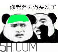 做頭發(fā)表情包 我去做頭發(fā)了綠帽表情包 做頭發(fā)表情包 我去做頭發(fā)了綠帽表情包