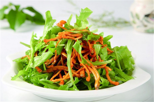 苦菊小孩能吃嗎？小孩吃苦菊促進(jìn)腦部發(fā)育