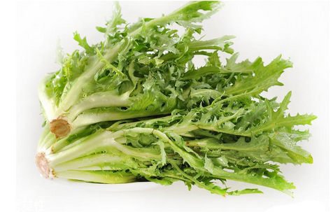 苦菊涼拌用開(kāi)水焯水嗎？苦菊涼拌才好吃