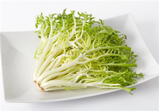 苦菊有哪些功效和作用？苦菊是屬于菊花的一種