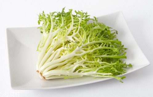 苦菊能減肥嗎？苦菊的各式做法